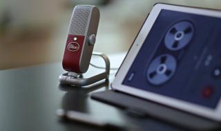 Цифровой микрофон Blue Microphones Raspberry Studio (Red) Оптимизация микрофона под речевой диапазон