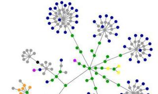 Структура сети Интернет: основные принципы работы